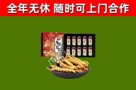 涟源市回收冬虫夏草价格